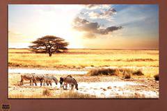 Картина пано за стена от 1 част с африкански пейзаж – HD-554-1