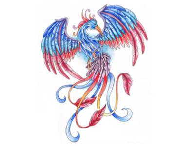 Мебели Феникс – Проектиране, производство и монтаж на мебели