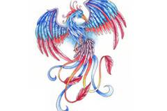 Мебели Феникс – Проектиране, производство и монтаж на мебели