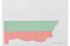 Фолио за стъкло с цветовете на българския трибагреник