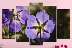 Декоративно пано за стена от 5 части с лятно градинско цвете – HD-718