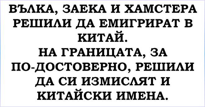 [Страхотен ВИЦ] Вълка, Заека и Хамстера