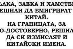 [Страхотен ВИЦ] Вълка, Заека и Хамстера