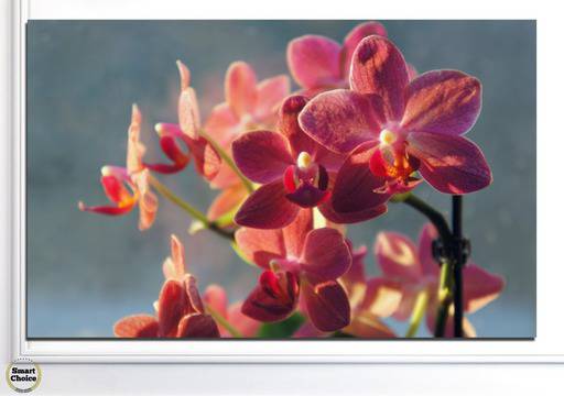 Картина пано за стена от 1 част – Букет красиви орхидеи – HD-252-1