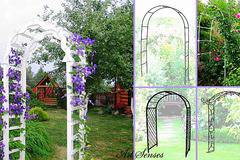 Направи си арка от цветя в градината