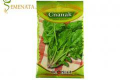 Качествени семена на спанак Матадор – супер високодобивен сорт