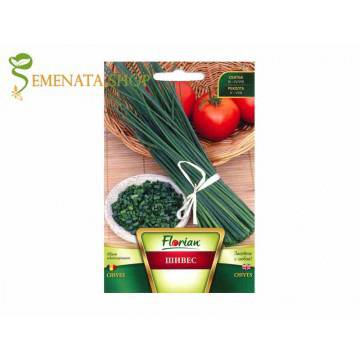 Семена на Шивес (лукс за листа, Сибирски лук) – здравословен и вкусен