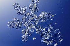 Паметта на водата – Невероятните свойства на водата