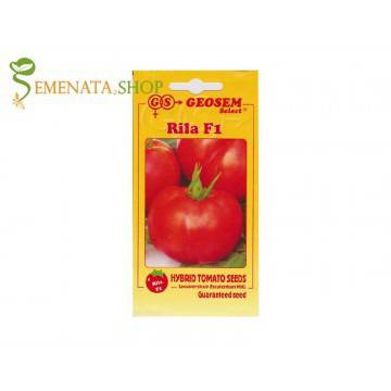 Семена на български ранни сортове домати Рила F1