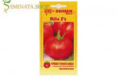 Семена на български ранни сортове домати Рила F1