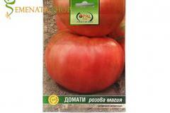 Български семена на едри сортове домати Розова Магия