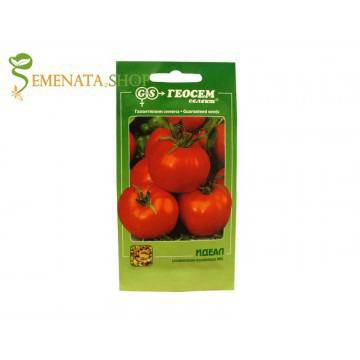 Семена на стари български сортове Домати Идеал – традиция и качество
