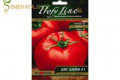 Гарантирано професионални семена на Биг бийф F1 домати (Big Beef F1) – за оранжерии и тунели