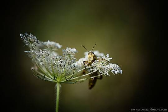 Да се заредиш от красотата на облаците