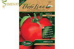 Семена на червени Супер ранни домати Финал F1 за оранжерии (полудетерминантен)