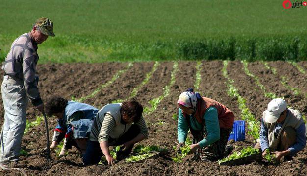 Майка гурбетчийка цял живот праща пари на сина си и жена му, но когато реши да се върне в България, адът се стовари върху нея!