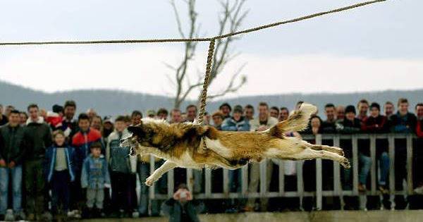 140 години не стигнаха на България, за да стане модерна държава