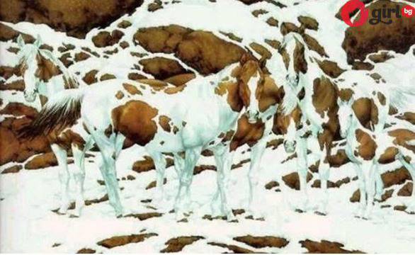 Забавен тест разкрива кое кълбо на мозъка ви е по-развито: Какво виждате на снимката?