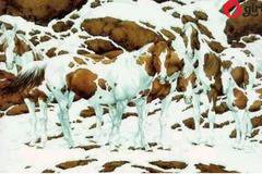 Забавен тест разкрива кое кълбо на мозъка ви е по-развито: Какво виждате на снимката?