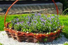 Градински оплетки с клони