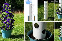 Направи си сам вертикална градинка от петунии за дома