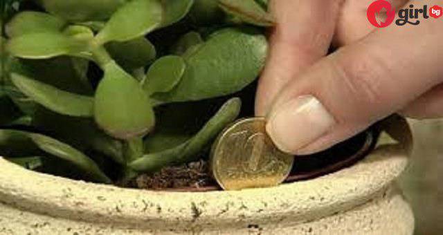 5 неща, които трябва да изпълните ако искате да имате пари!