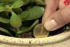 5 неща, които трябва да изпълните ако искате да имате пари!