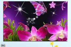 Картина пано за стена от 1 част с пеперуда и Орхидеи – HD-240-1