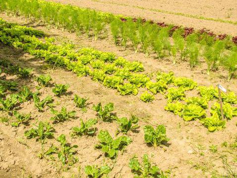 Първа инвестиционна банка отчете ръст на активите 0