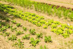 Първа инвестиционна банка отчете ръст на активите 0