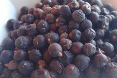 Плодове от хвойна (Juniperus) 20 гр.