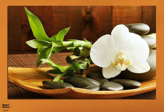 Картина пано за стена от 1 част с бяла орхидея, Дзен камъни и бамбук – HD-449-1