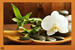 Картина пано за стена от 1 част с бяла орхидея, Дзен камъни и бамбук – HD-449-1