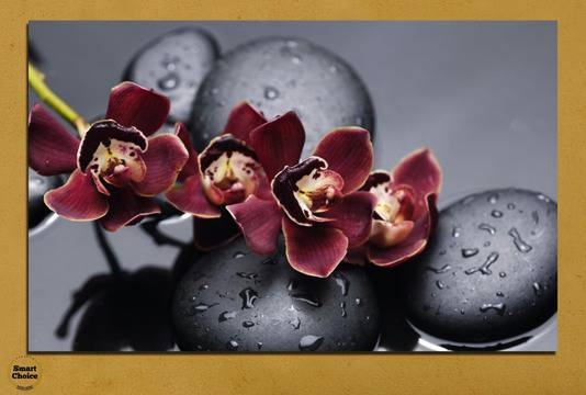 Картина пано за стена от 1 част с лилава орхидея и Дзен камъни – HD-172-1