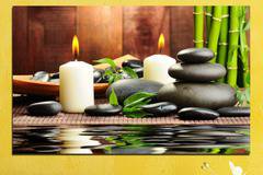 Картина пано за стена от 1 част с Фън Шуй мотив – HD-311-1