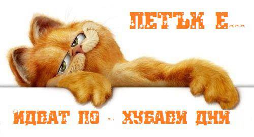 Промоции – 1001 оферти