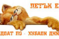 Промоции – 1001 оферти