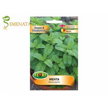 Семена от Мента (Mentha piperita) – със супер силен приятен аромат