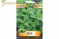 Семена от Мента (Mentha piperita) – със супер силен приятен аромат