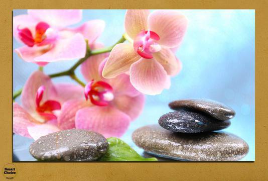 Картина пано за стена от 1 част с розова Орхидея и Дзен камъни – HD-569-1