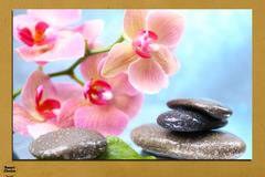 Картина пано за стена от 1 част с розова Орхидея и Дзен камъни – HD-569-1