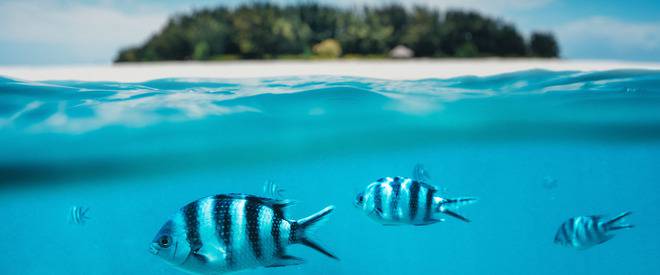 Тропически рай, в който почти не стъпват туристи