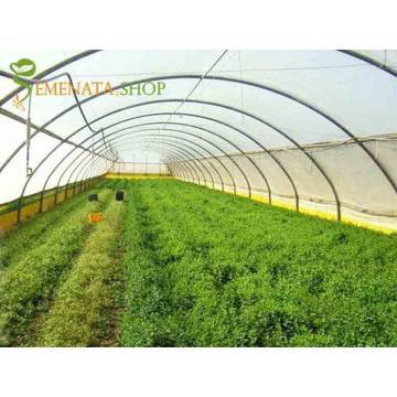 Израелско полиетиленово фолио за оранжерии устойчиво на сяра с анти капка и UV 150 mic