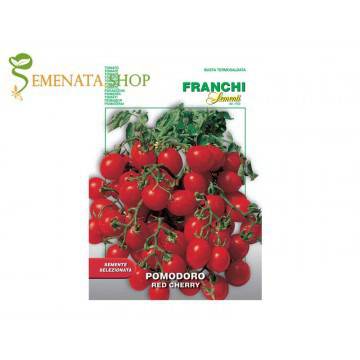 Семена на безколови сортове домати Чери червено от Италия – страхотни на вкус