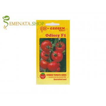 Семена на домати за производство Одисей F1 – супер издръжливи на съхранение до 20 дни