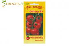 Семена на домати за производство Одисей F1 – супер издръжливи на съхранение до 20 дни
