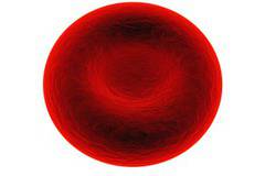 Стволови клетки за лечение на ракови заболявания