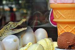 Най-странните сладоледи по света