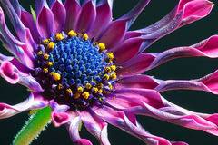 Почва. Почвообразуване. Състав на почвата