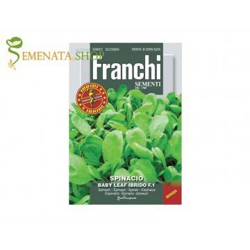 Семена на Бейби спанак Емилия F1 – вкусен и високо добивен